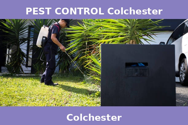 PEST CONTROL Colchester